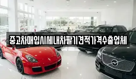 경기 용인시 기흥구 신갈동 중고차매입 전문 중고차매입시세내차팔기견적가격수출업체