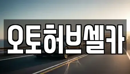 경기 용인시 중고차 전문 오토허브셀카