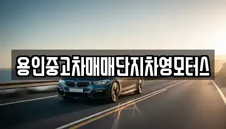 경기 용인시 중고차 전문 용인중고차매매단지차영모터스