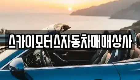 경기 용인시 중고차매매 전문 스카이모터스자동차매매상사