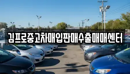 경기 용인시 중고차매입 전문 김프로중고차매입판매수출매매센터
