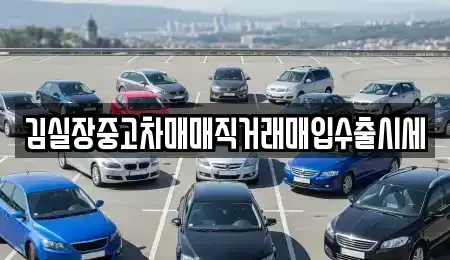 경기 파주시 광탄면 중고차매매 전문 김실장중고차매매직거래매입수출시세