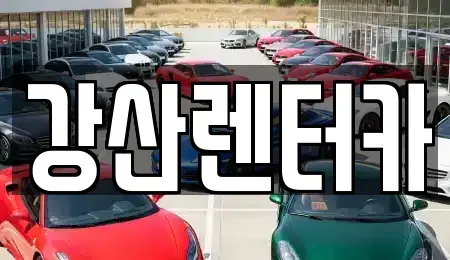 경기 평택시 동삭동 렌트카 전문 강산렌터카