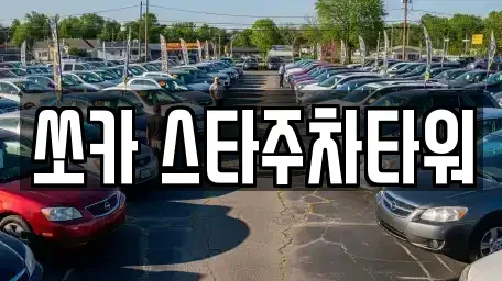 경기 평택시 동삭동 렌트카 전문 쏘카 스타주차타워
