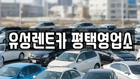 경기 평택시 동삭동 렌트카 전문 유성렌트카 평택영업소