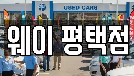 경기 평택시 동삭동 장기렌트카,중고차,렌트카,단기렌트카,중고차매입,중고차매매