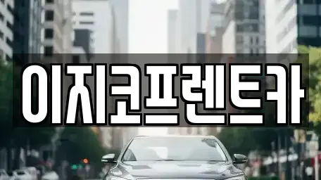 경기 평택시 서탄면 렌트카 전문 이지코프렌트카