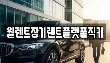 경기 평택시 서탄면 장기렌트카 전문 월렌트장기렌트플랫폼직카