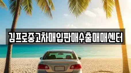 경기 평택시 서탄면 중고차 전문 김프로중고차매입판매수출매매센터