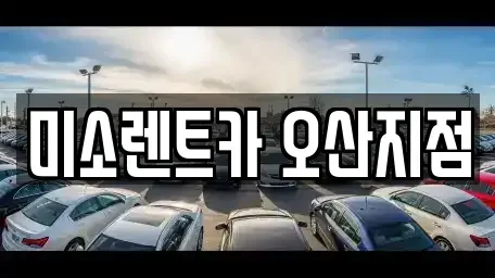 경기 화성시 정남면 렌트카 전문 미소렌트카 오산지점