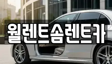 경기 화성시 정남면 렌트카 전문 월렌트솜렌트카