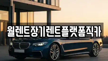 경기 화성시 정남면 장기렌트카 전문 월렌트장기렌트플랫폼직카