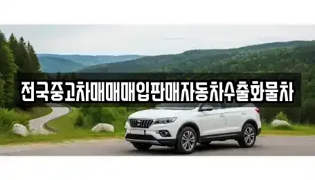 경기 화성시 정남면 중고차 전문 전국중고차매매매입판매자동차수출화물차