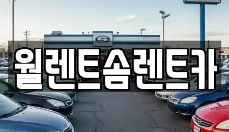 경기 화성시 진안동 렌트카 전문 월렌트솜렌트카