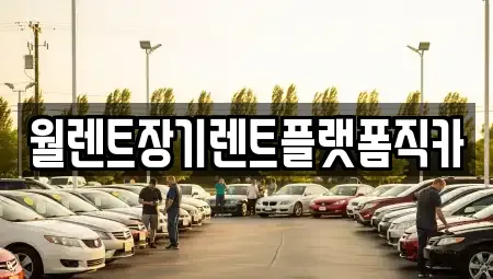 경기 화성시 진안동 장기렌트카 전문 월렌트장기렌트플랫폼직카