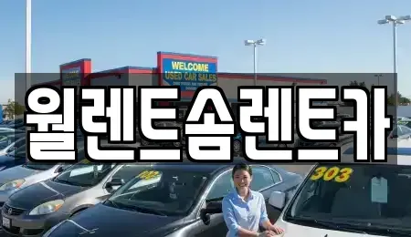 경기도 고양시 일산서구 가좌동 렌트카 전문 월렌트솜렌트카