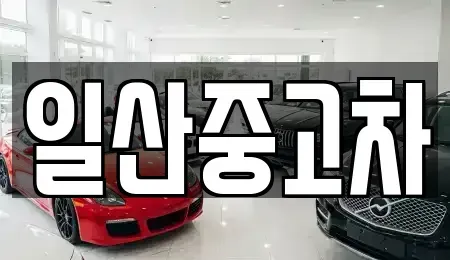 경기도 고양시 일산서구 가좌동 중고차매매,단기렌트카,중고차매입,장기렌트카,중고차,렌트카