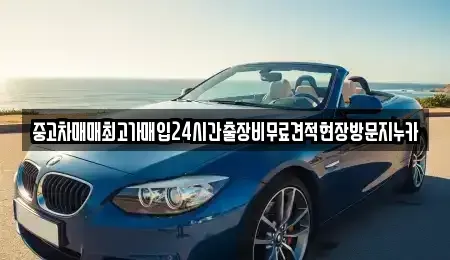 경기도 고양시 일산서구 가좌동 중고차매매 전문 중고차매매최고가매입24시간출장비무료견적현장방문지누카