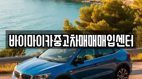 경기도 고양시 일산서구 가좌동 중고차매입 전문 바이마이카중고차매매매입센터