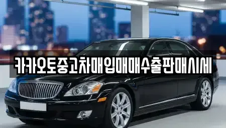 경기도 과천시 과천동 중고차,렌트카,중고차매입,중고차매매,장기렌트카,단기렌트카