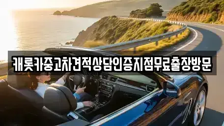 경기도 과천시 과천동 중고차 전문 캐롯카중고차견적상담인증지점무료출장방문