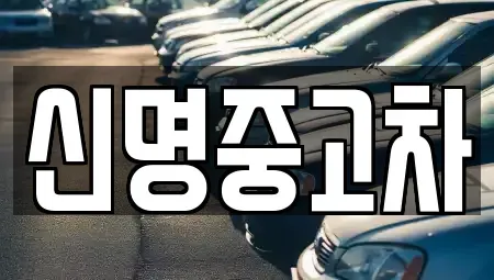 경기도 광명시 중고차 전문 신명중고차