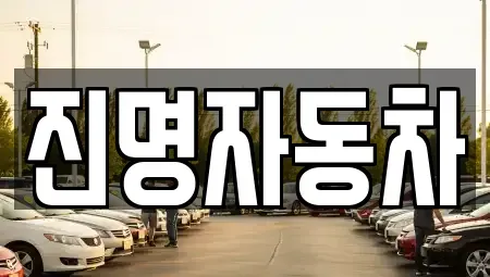 경기도 광명시 중고차 전문 진명자동차