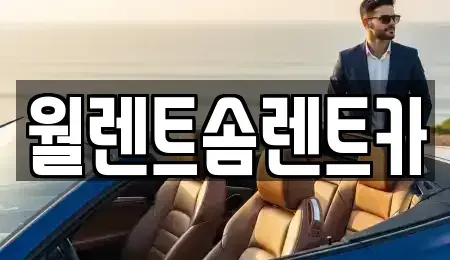 경기도 광주시 쌍령동 렌트카 전문 월렌트솜렌트카