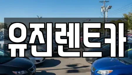 경기도 광주시 쌍령동 렌트카,단기렌트카,장기렌트카,중고차,중고차매매,중고차매입