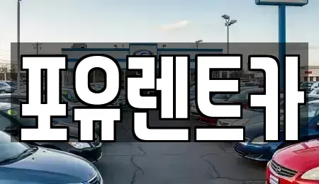 경기도 광주시 쌍령동 렌트카 전문 포유렌트카