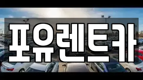 경기도 광주시 탄벌동 장기렌트카 전문 포유렌트카