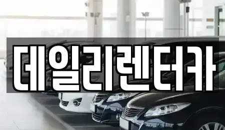경기도 성남시 분당구 삼평동 단기렌트카 전문 데일리렌터카