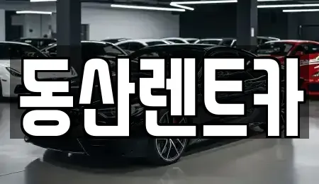 경기도 성남시 분당구 삼평동 단기렌트카 전문 동산렌트카