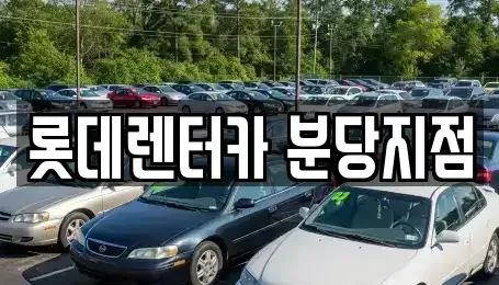 경기도 성남시 분당구 삼평동 단기렌트카 전문 롯데렌터카 분당지점