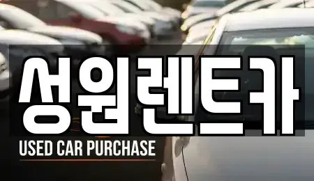 경기도 성남시 분당구 삼평동 렌트카 전문 성원렌트카