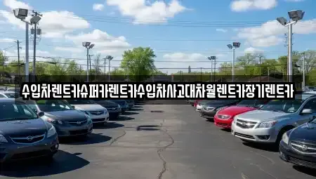 경기도 성남시 분당구 삼평동 장기렌트카 전문 수입차렌트카슈퍼카렌트카수입차사고대차월렌트카장기렌트카