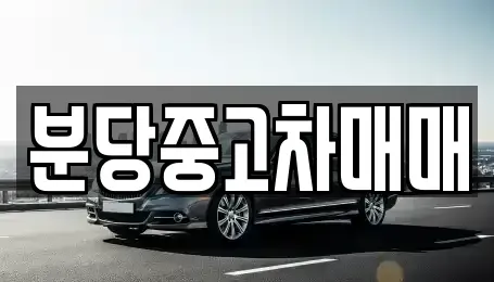 경기도 성남시 분당구 삼평동 중고차매매 전문 분당중고차매매