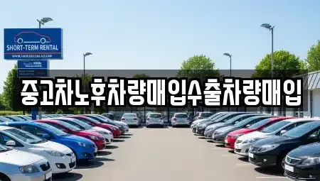 경기도 성남시 분당구 삼평동 중고차매입 전문 중고차노후차량매입수출차량매입