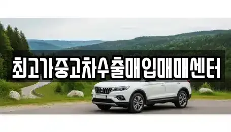 경기도 성남시 분당구 삼평동 중고차매입 전문 최고가중고차수출매입매매센터
