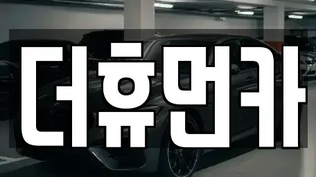 경기도 성남시 분당구 서현동 단기렌트카 전문 더휴먼카