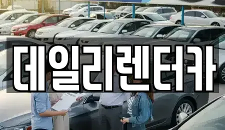 경기도 성남시 분당구 서현동 단기렌트카 전문 데일리렌터카