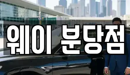 경기도 성남시 분당구 서현동 단기렌트카,중고차매입,중고차매매,중고차,렌트카,장기렌트카