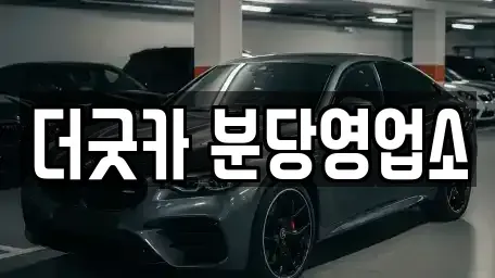 경기도 성남시 분당구 서현동 렌트카 전문 더굿카 분당영업소