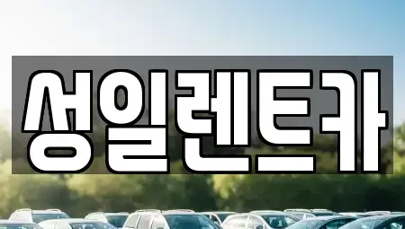 경기도 성남시 분당구 서현동 렌트카 전문 성일렌트카