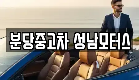 경기도 성남시 분당구 서현동 중고차매매 전문 분당중고차 성남모터스