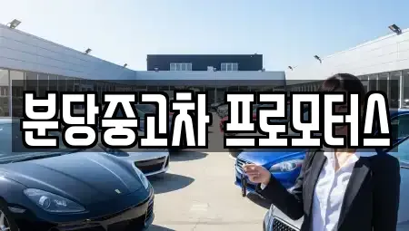 경기도 성남시 분당구 서현동 중고차매매 전문 분당중고차 프로모터스