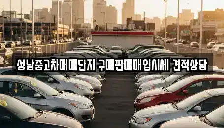 경기도 성남시 분당구 서현동 중고차매입 전문 성남중고차매매단지 구매판매매입시세 견적상담