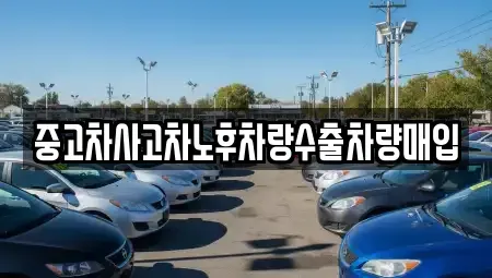 경기도 성남시 분당구 서현동 중고차매입 전문 중고차사고차노후차량수출차량매입