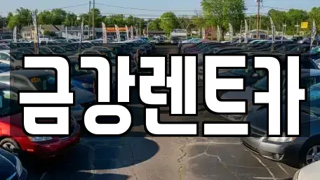 경기도 수원시 영통구 망포동 렌트카 전문 금강렌트카