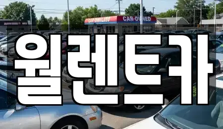 경기도 수원시 영통구 망포동 렌트카 전문 월렌트카